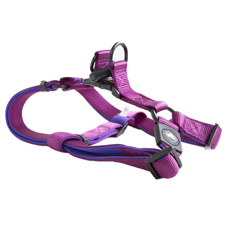 TK-Pet Neo Classic Peitoral de Nylon Roxo para c&atilde;es, , large Imagem n&uacute;mero 2